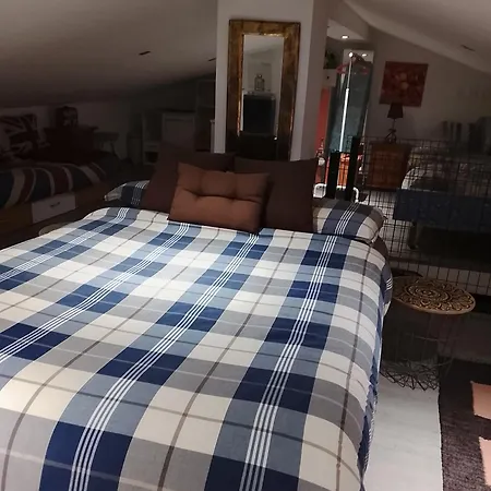 Apartamento Palmeras San Millan de Juarros